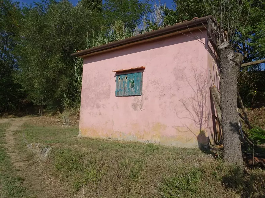 Immagine 8 di Terreno agricolo in vendita  a Capannoli
