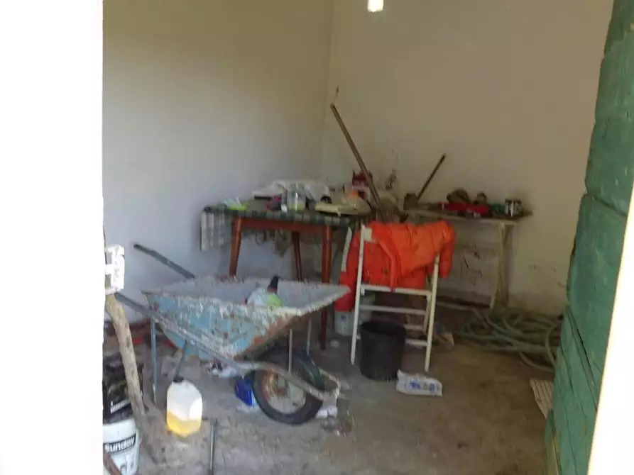 Immagine 9 di Terreno agricolo in vendita  a Capannoli