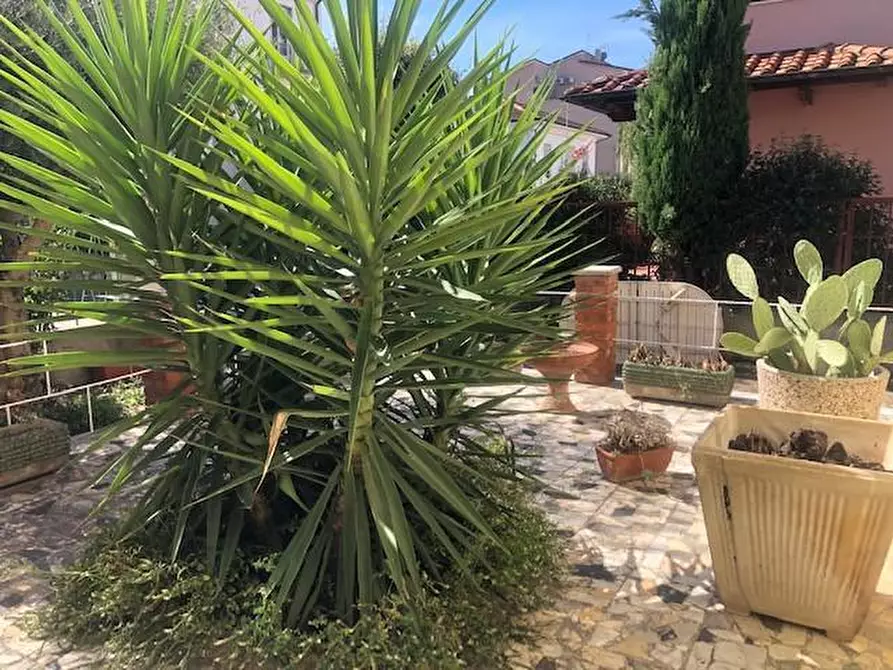 Immagine 17 di Terratetto in vendita  a Fucecchio