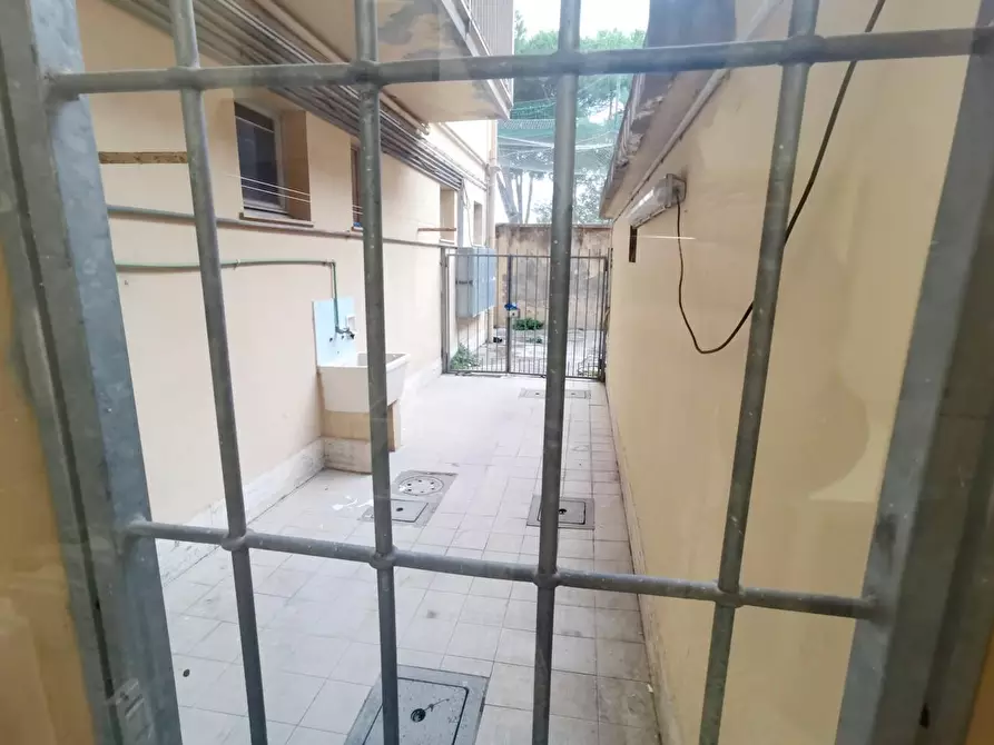 Immagine 12 di Appartamento in affitto  a Pisa