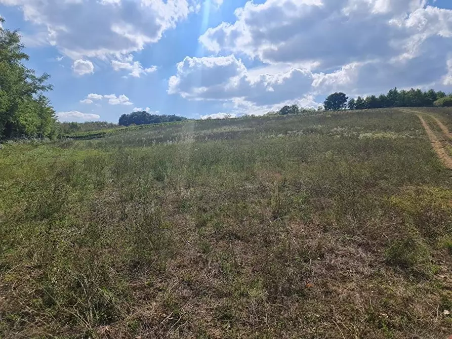 Immagine 4 di Terreno agricolo in vendita  a Colle Di Val D'elsa