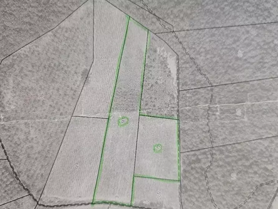 Immagine 2 di Terreno agricolo in vendita  a Colle Di Val D'elsa