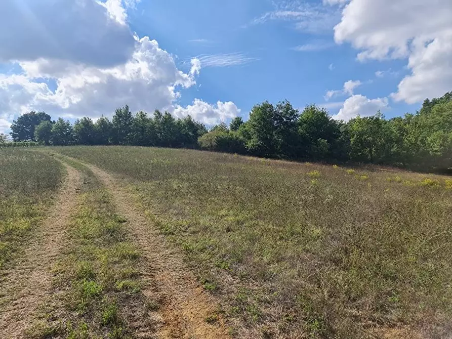 Immagine 7 di Terreno agricolo in vendita  a Colle Di Val D'elsa