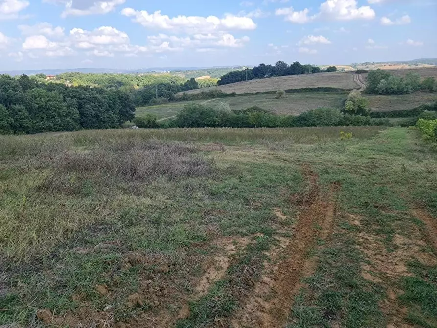 Immagine 3 di Terreno agricolo in vendita  a Colle Di Val D'elsa
