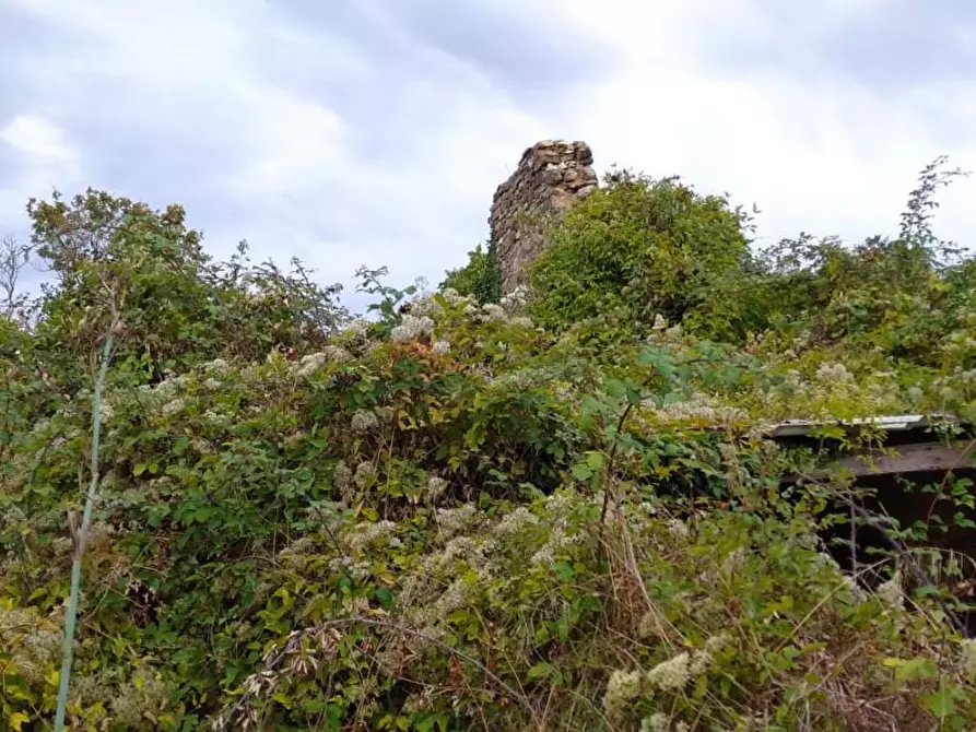 Immagine 4 di Rustico / casale in vendita  a Semproniano