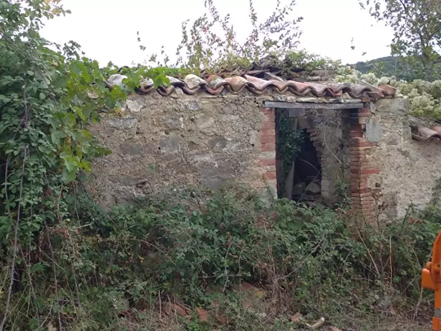 Immagine 2 di Rustico / casale in vendita  a Semproniano