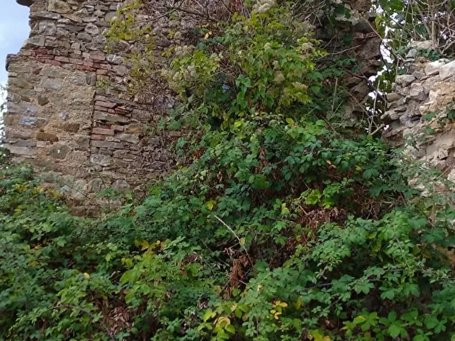 Immagine 3 di Rustico / casale in vendita  a Semproniano