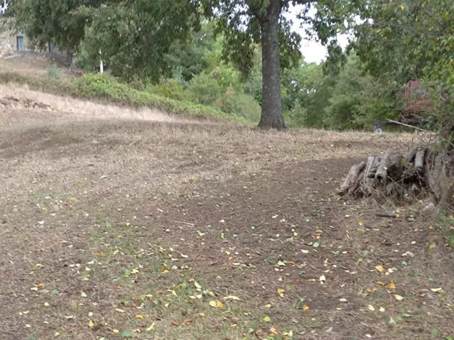 Immagine 5 di Rustico / casale in vendita  a Semproniano