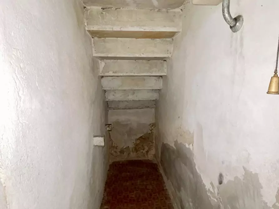 Immagine 5 di Magazzino in vendita  a Pisa