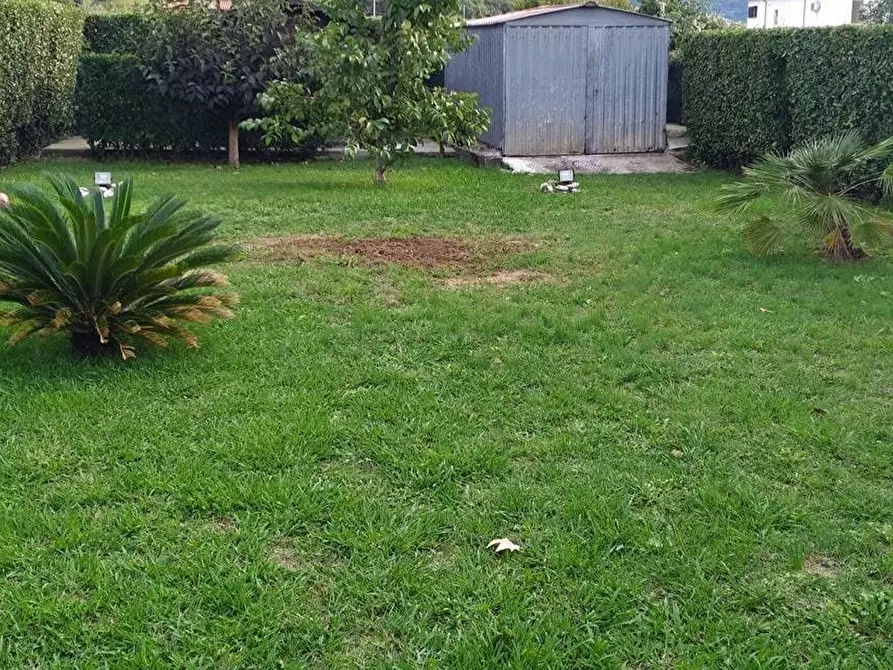 Immagine 2 di Appartamento in vendita  a Massa