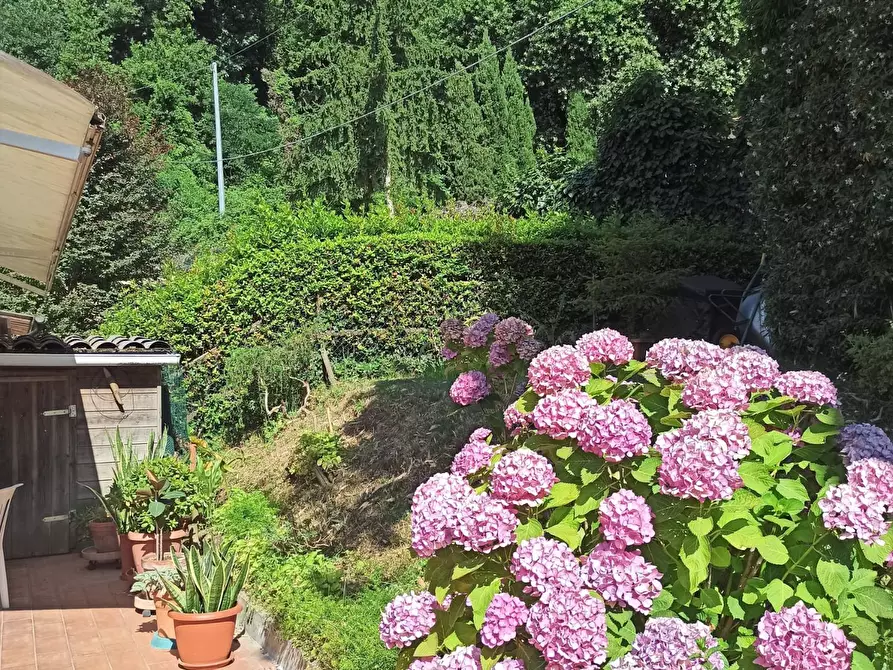 Immagine 7 di Casa quadrifamiliare in vendita  a Lucca