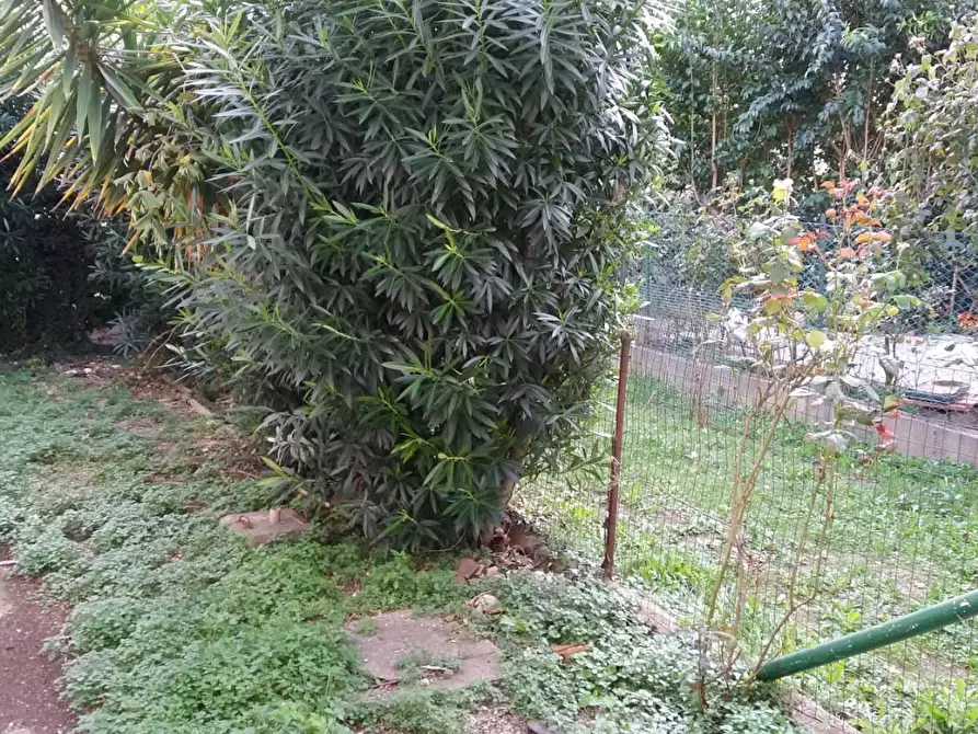 Immagine 3 di Appartamento in vendita  a Empoli