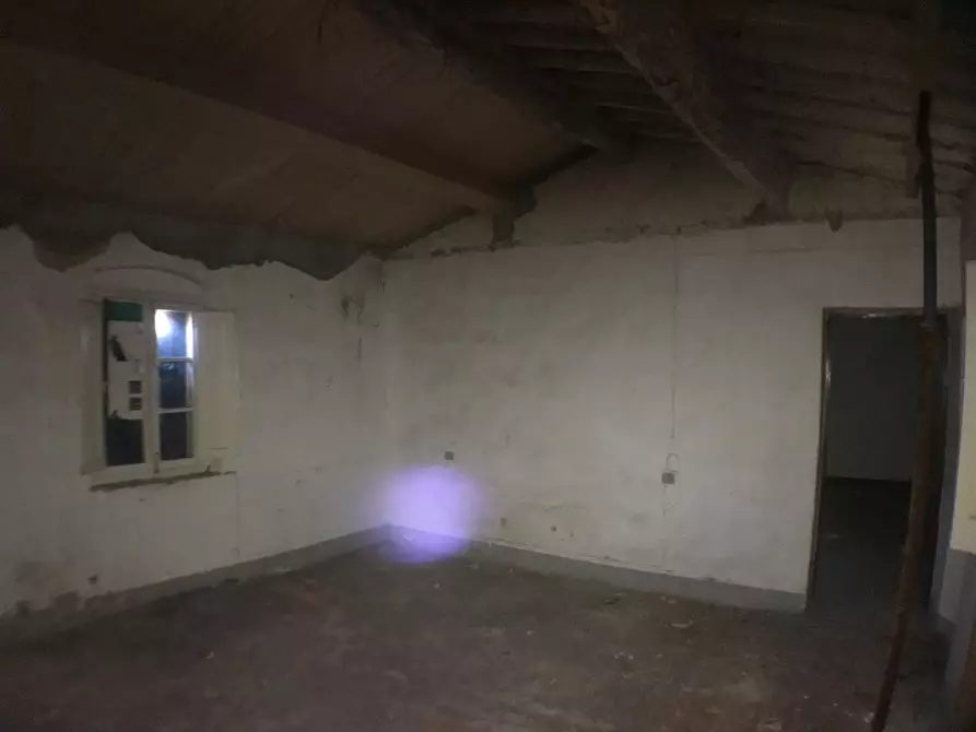 Immagine 13 di Casa colonica in vendita  a Montecatini Terme