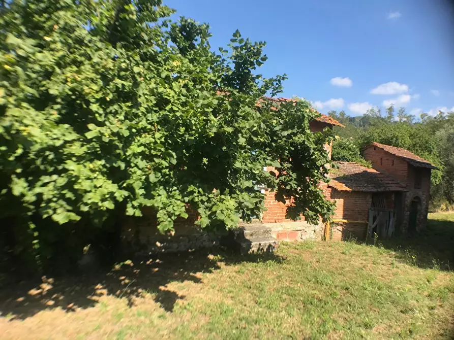 Immagine 9 di Casa colonica in vendita  a Montecatini Terme