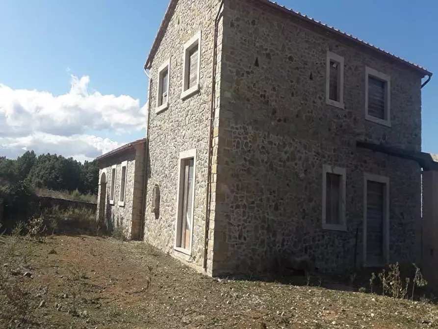 Immagine 5 di Rustico / casale in vendita  a Manciano