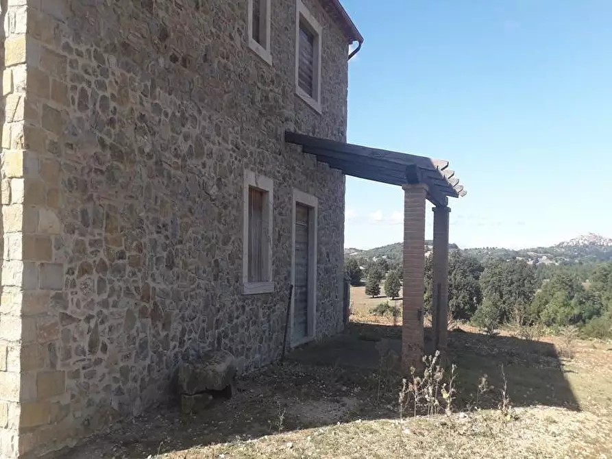 Immagine 13 di Rustico / casale in vendita  a Manciano