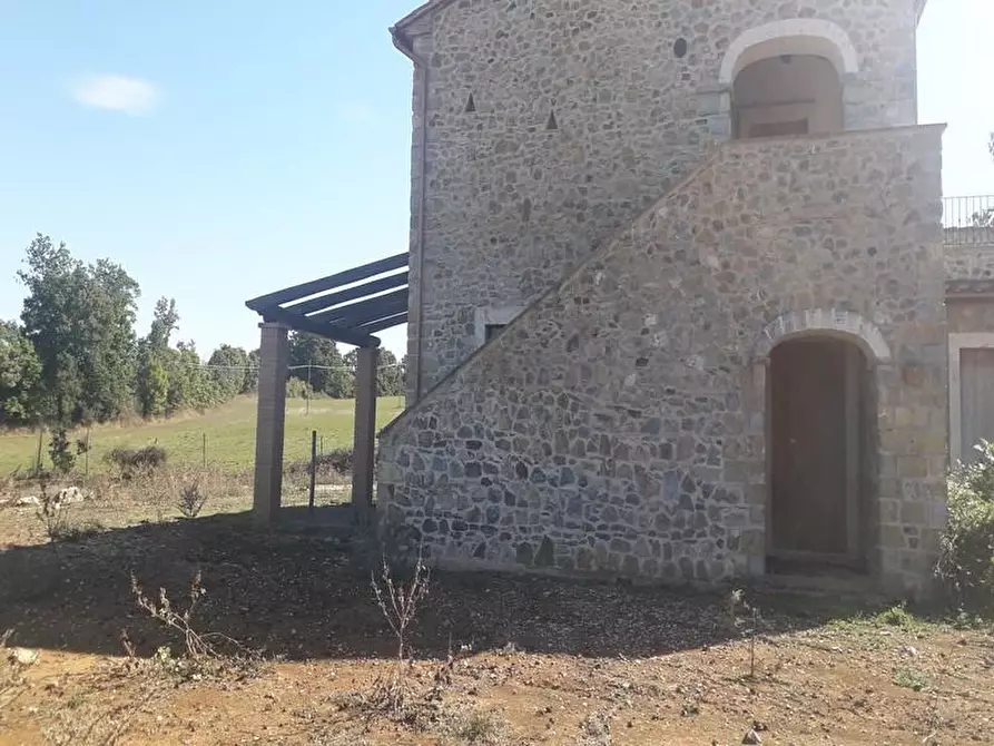 Immagine 4 di Rustico / casale in vendita  a Manciano