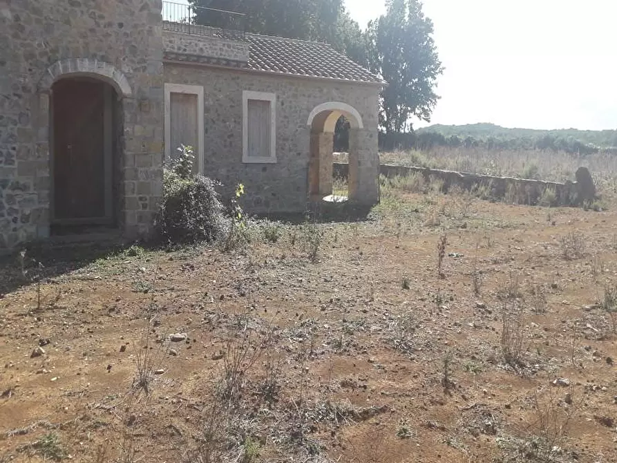 Immagine 9 di Rustico / casale in vendita  a Manciano