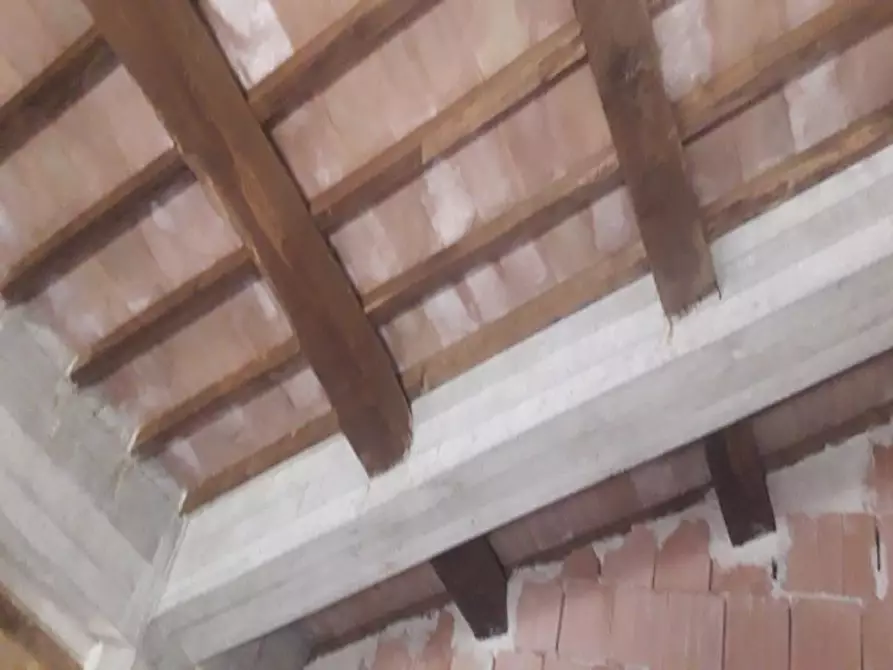 Immagine 17 di Rustico / casale in vendita  a Manciano