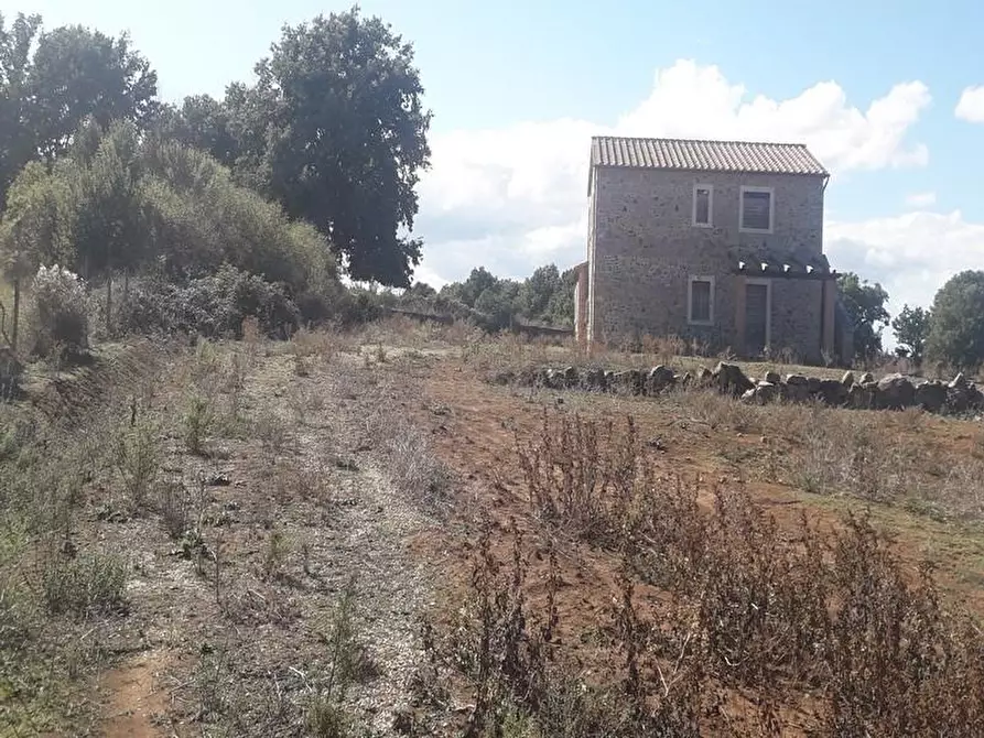 Immagine 2 di Rustico / casale in vendita  a Manciano