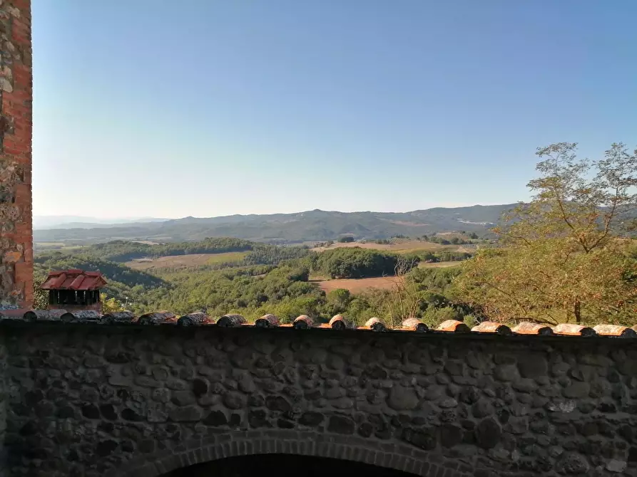 Immagine 26 di Azienda agricola in vendita  a Murlo