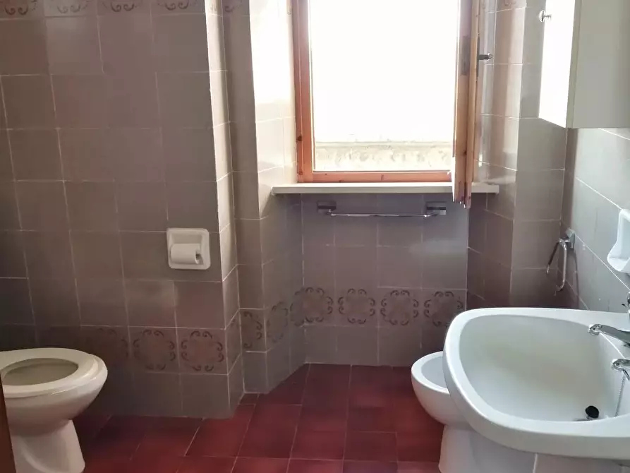 Immagine 31 di Azienda agricola in vendita  a Murlo