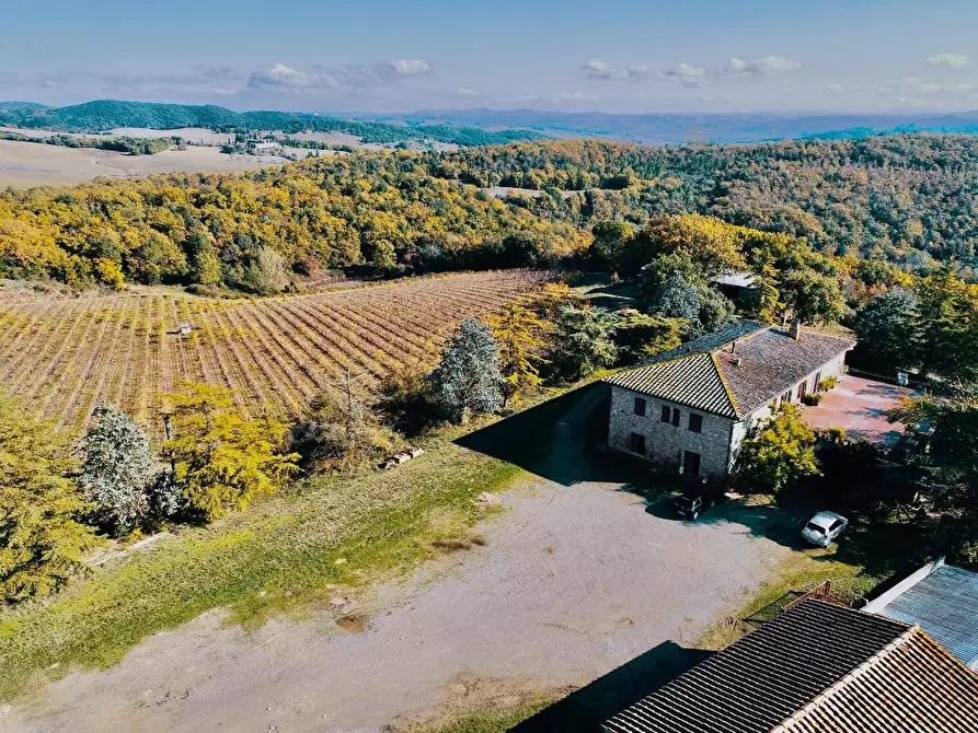 Immagine 2 di Azienda agricola in vendita  a Murlo