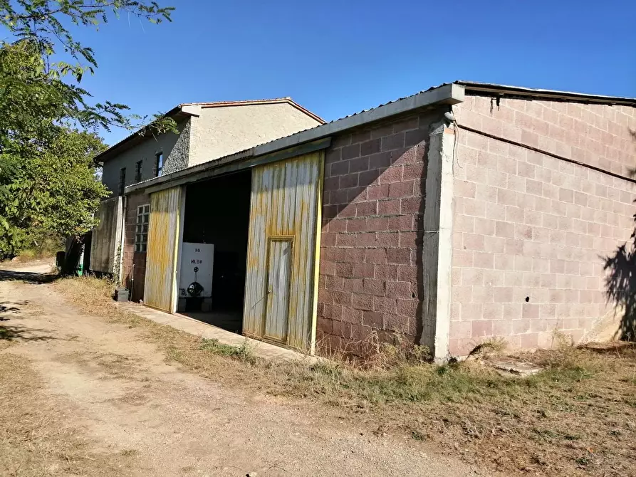 Immagine 22 di Azienda agricola in vendita  a Murlo