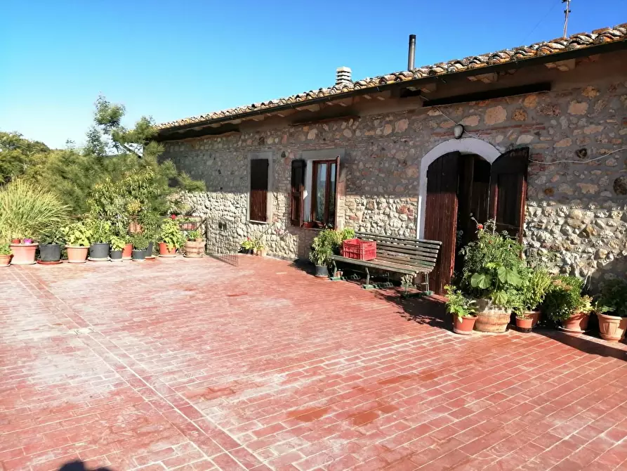 Immagine 19 di Azienda agricola in vendita  a Murlo