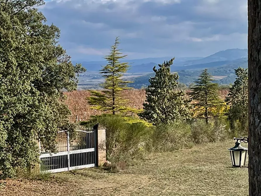 Immagine 53 di Azienda agricola in vendita  a Murlo