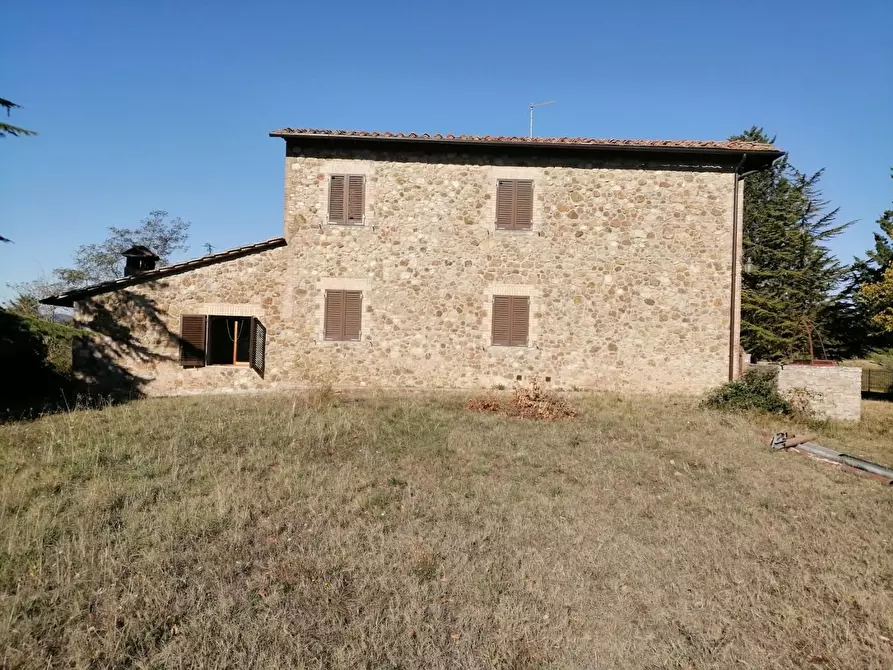 Immagine 11 di Azienda agricola in vendita  a Murlo