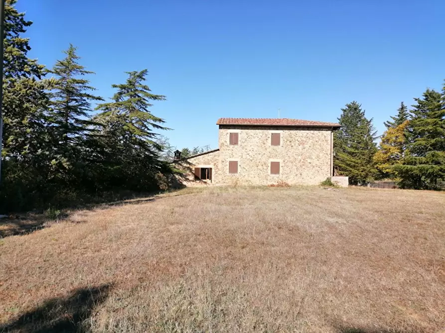 Immagine 7 di Azienda agricola in vendita  a Murlo