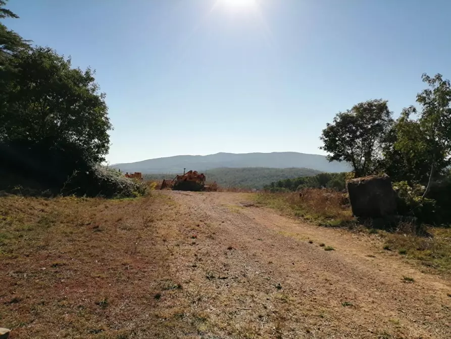 Immagine 44 di Azienda agricola in vendita  a Murlo