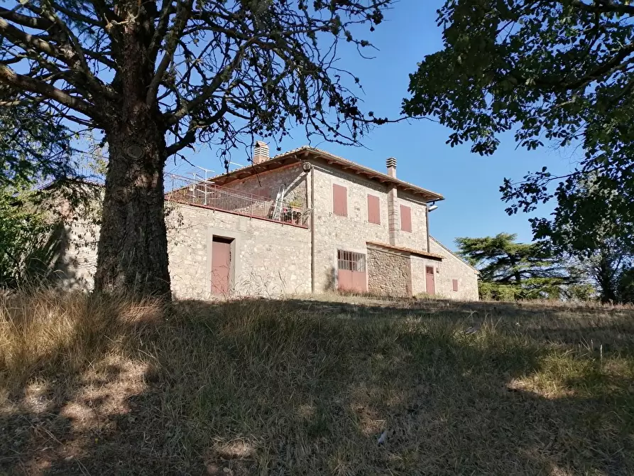 Immagine 13 di Azienda agricola in vendita  a Murlo