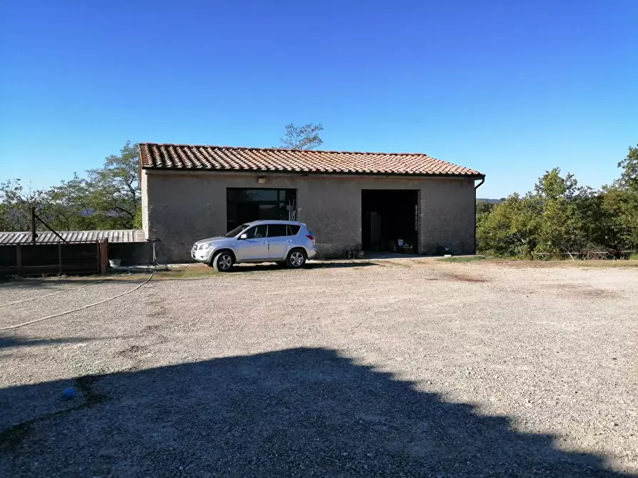 Immagine 21 di Azienda agricola in vendita  a Murlo