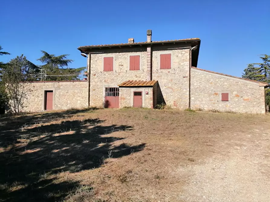 Immagine 14 di Azienda agricola in vendita  a Murlo