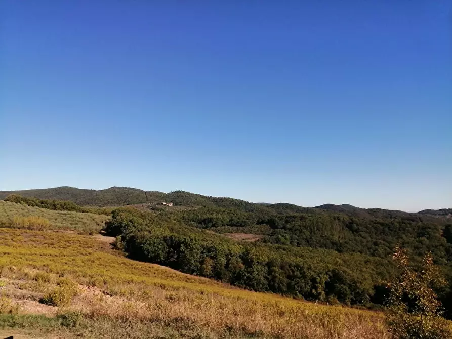 Immagine 37 di Azienda agricola in vendita  a Murlo