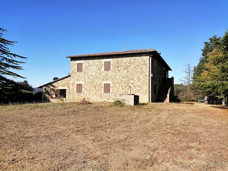 Immagine 8 di Azienda agricola in vendita  a Murlo