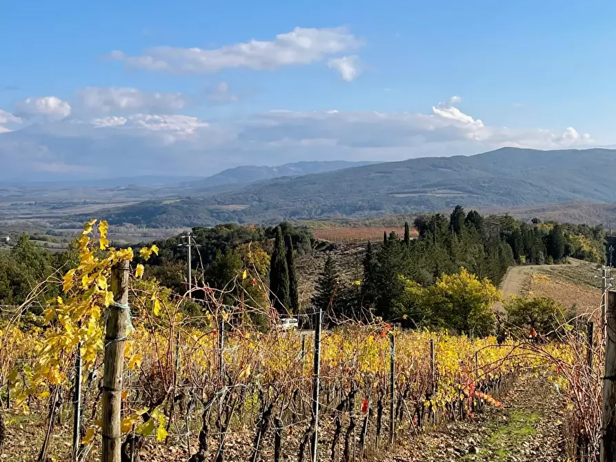 Immagine 57 di Azienda agricola in vendita  a Murlo
