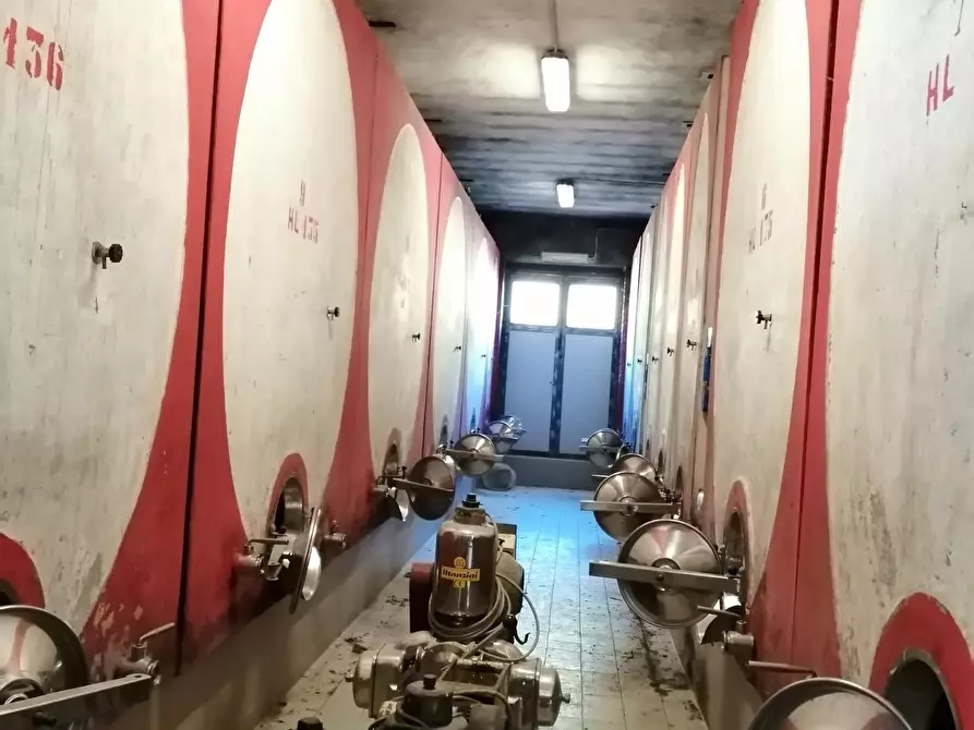 Immagine 46 di Azienda agricola in vendita  a Murlo