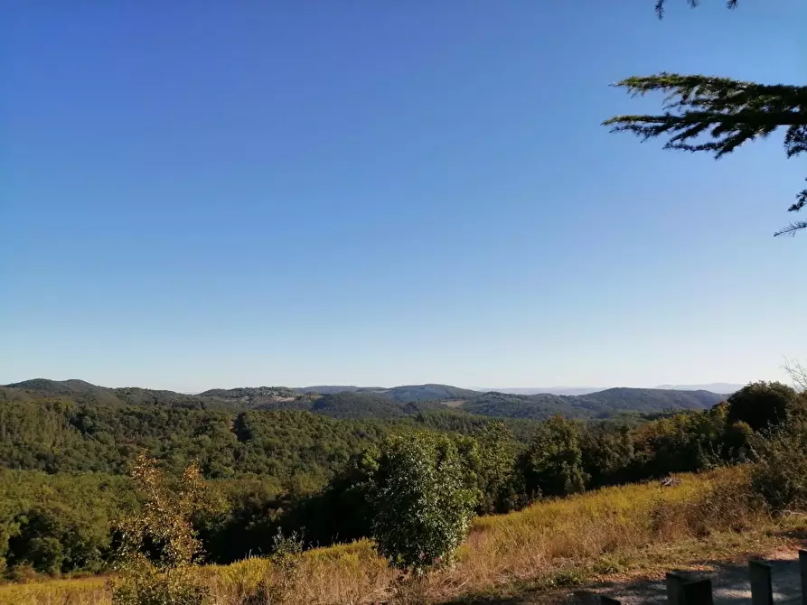 Immagine 38 di Azienda agricola in vendita  a Murlo