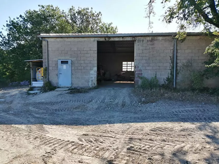 Immagine 48 di Azienda agricola in vendita  a Murlo