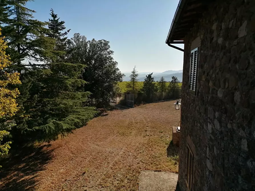 Immagine 25 di Azienda agricola in vendita  a Murlo