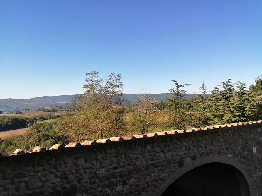 Immagine 28 di Azienda agricola in vendita  a Murlo