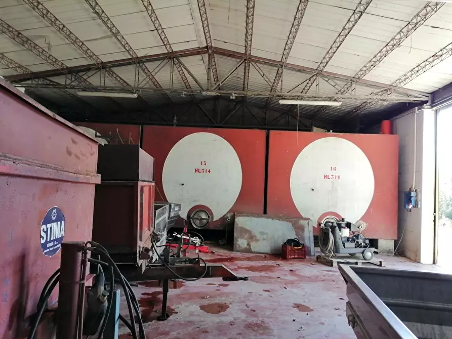 Immagine 47 di Azienda agricola in vendita  a Murlo