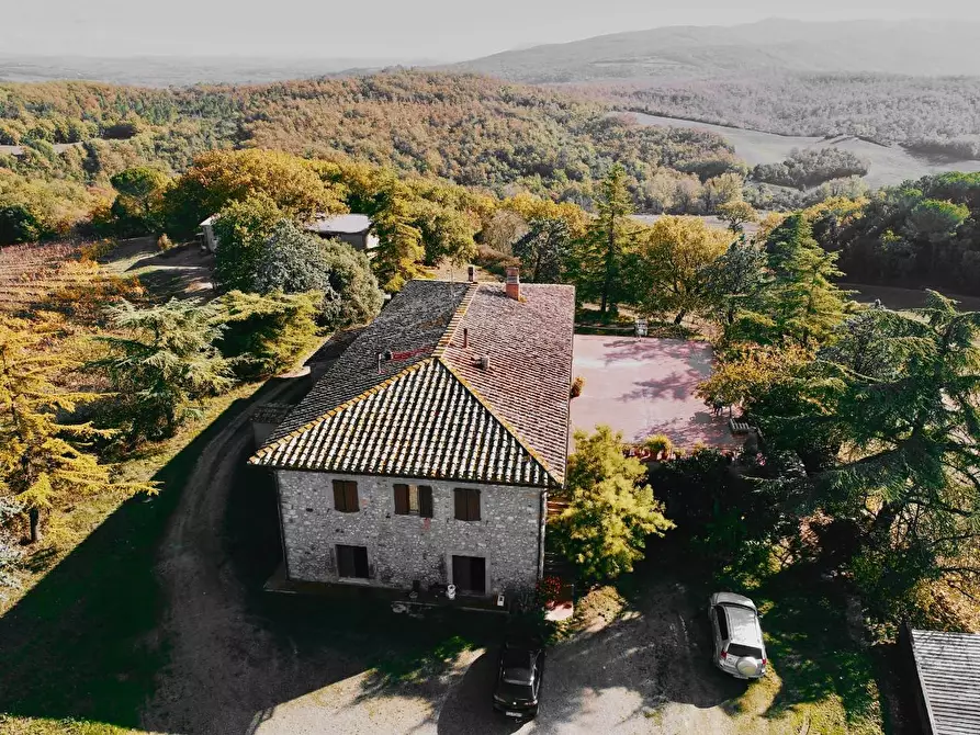 Immagine 3 di Azienda agricola in vendita  a Murlo