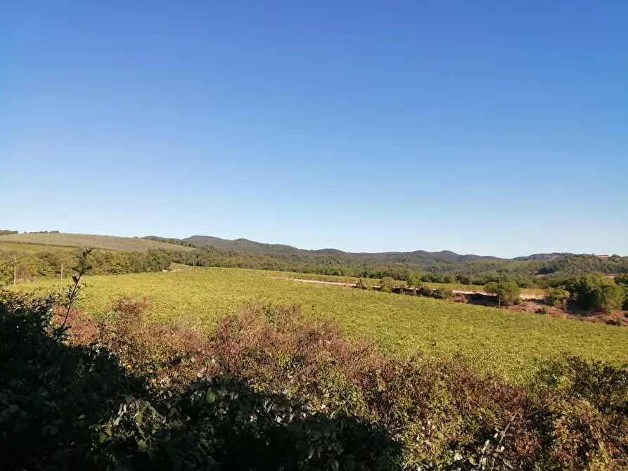 Immagine 43 di Azienda agricola in vendita  a Murlo