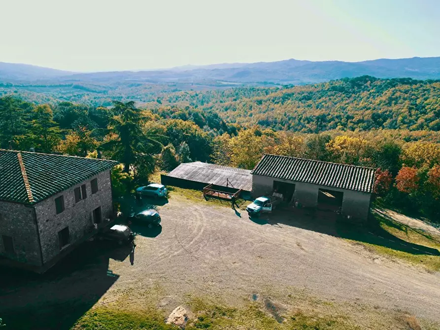 Immagine 54 di Azienda agricola in vendita  a Murlo