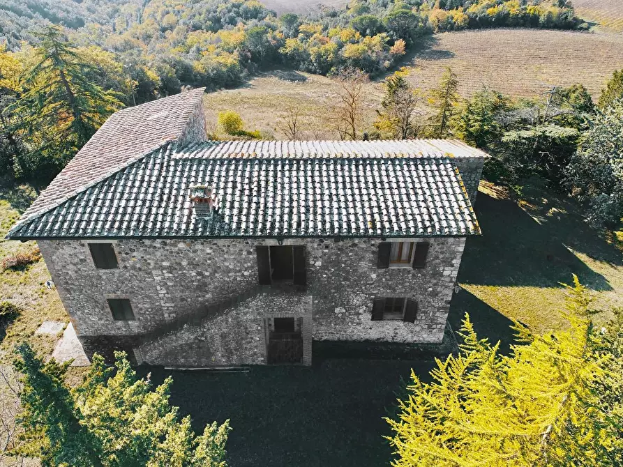 Immagine 4 di Azienda agricola in vendita  a Murlo