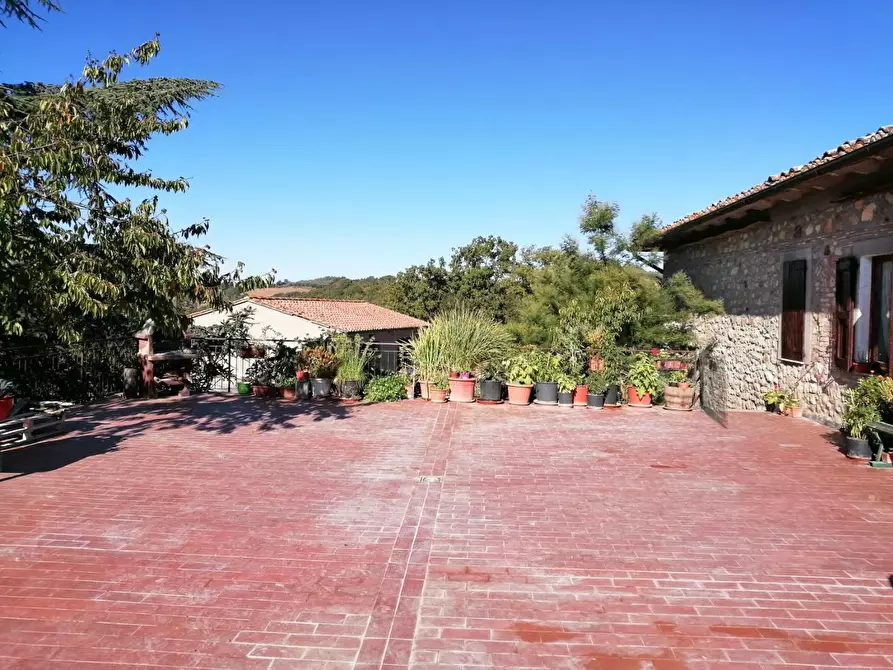 Immagine 20 di Azienda agricola in vendita  a Murlo